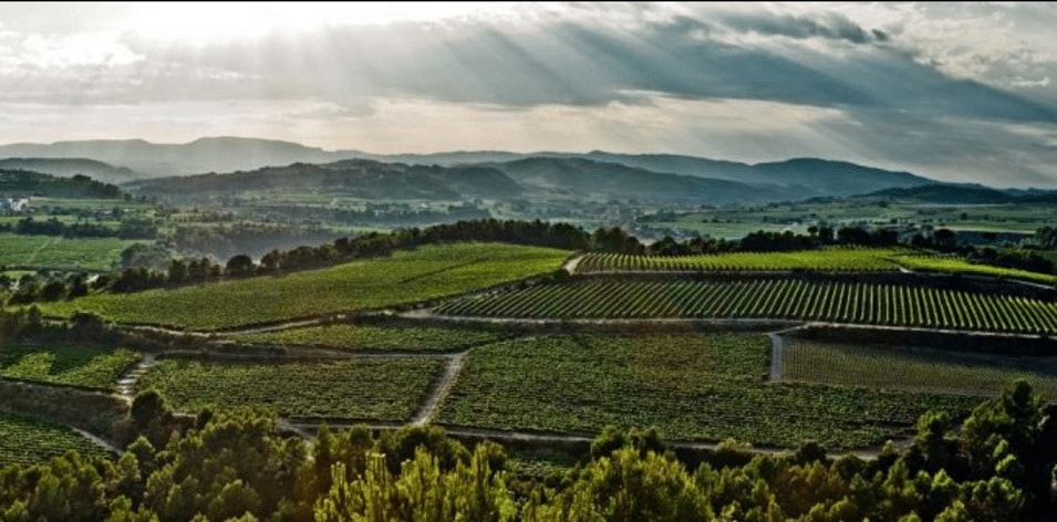 penedes-wines-region