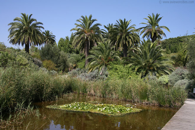 botanical-garden-barcelona